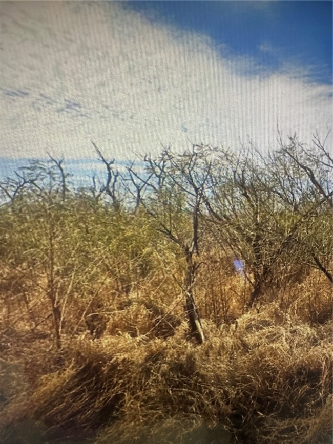 TBD County Road 310, Mathis, TX 78368 - photo 2