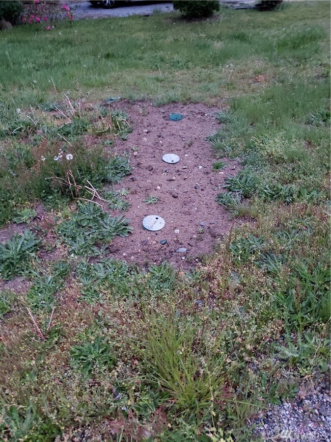 405 S Beach Rd, Point Roberts, WA 98281 - photo 5