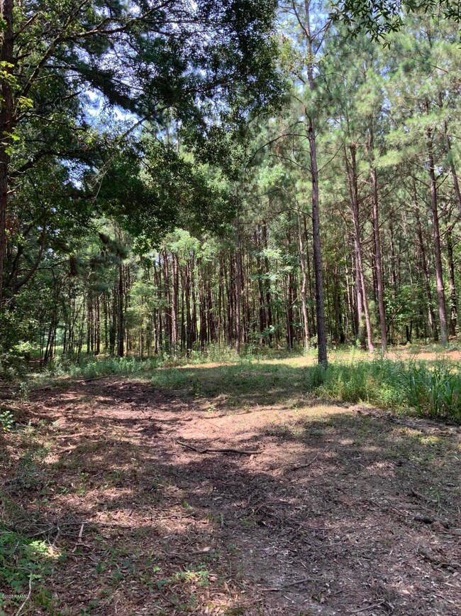 Tbd Redich (14 36) Rd, Eunice, LA 70535 - photo 3