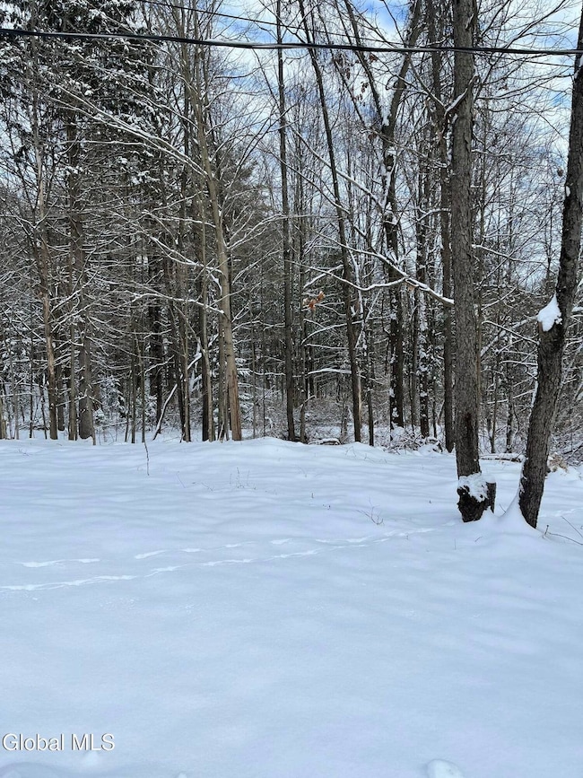 L27.11 Kings Rd, Wilton, NY 12831 - photo 5