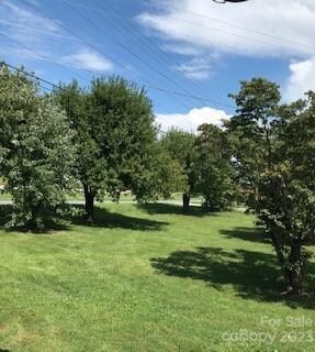 FRONT OF THE SIDE YARD