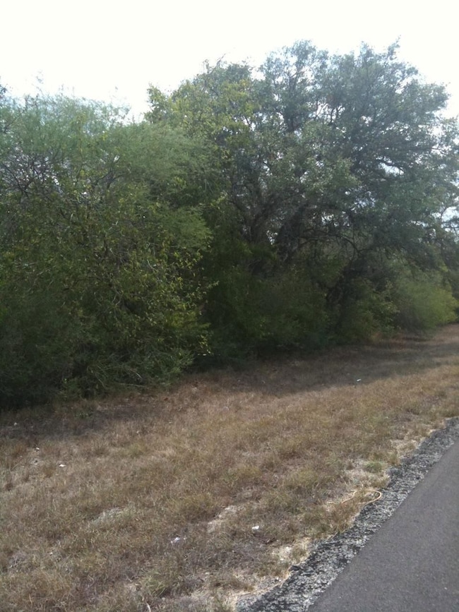 0 Farm To Market Road 468, Cotulla, TX - photo 2