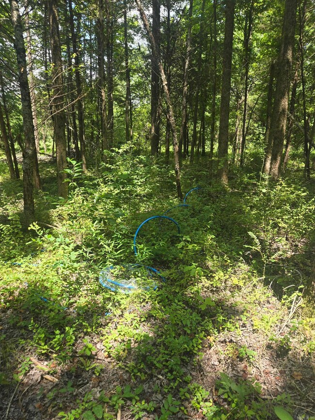 1084 Pickens Chapel Rd, Letona, AR 72143 - photo 4