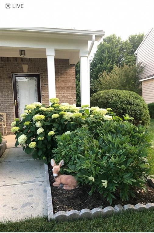 10899 Veon Dr, Fishers, IN 46038 - photo 5