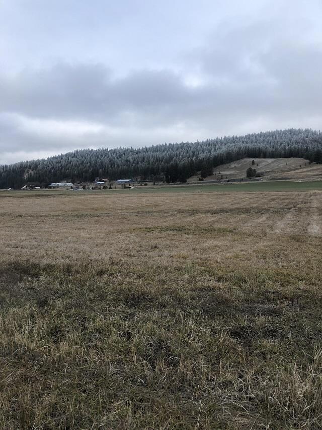 2040 Steinmetz Rd, Chewelah, WA 99109 - photo 2