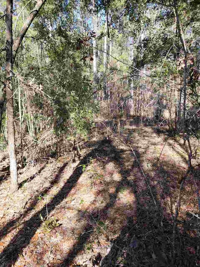 0 Decey Wallace Ln unit 301709, Crawfordville, FL 32327 - photo 3