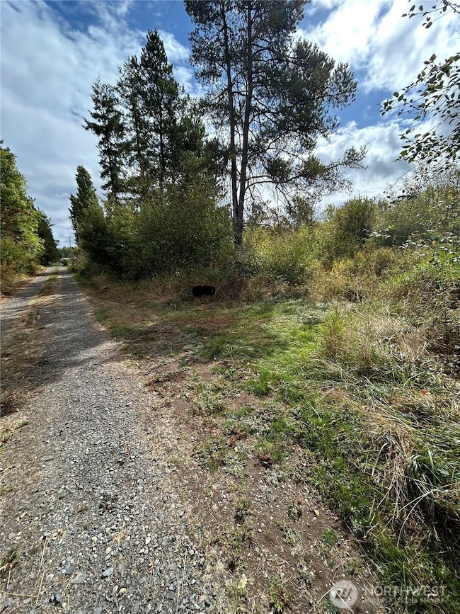 0 Nicholson Rd unit NWM2416744, Toledo, WA 98591 - photo 2