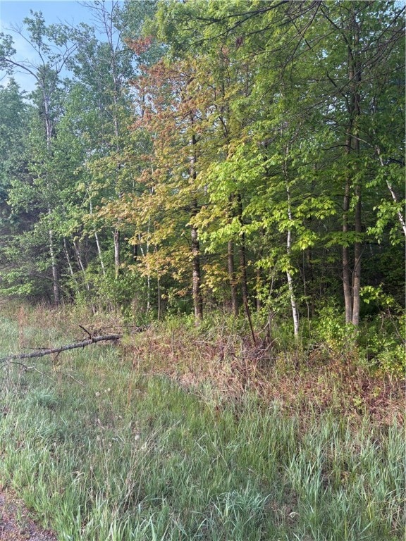 0 U S 12, Merrillan, WI - photo 3