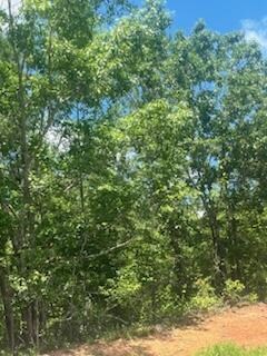 IMG_7268 (1)