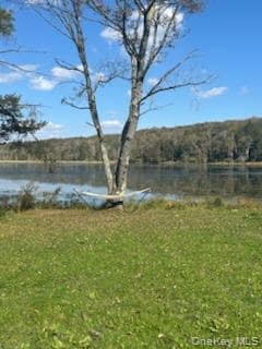 10 Dorm Dr, Hurleyville, NY 12747 - photo 5