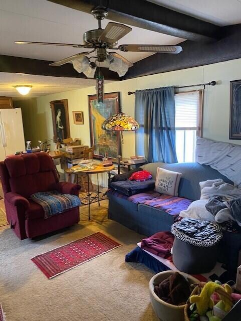 Open Living area