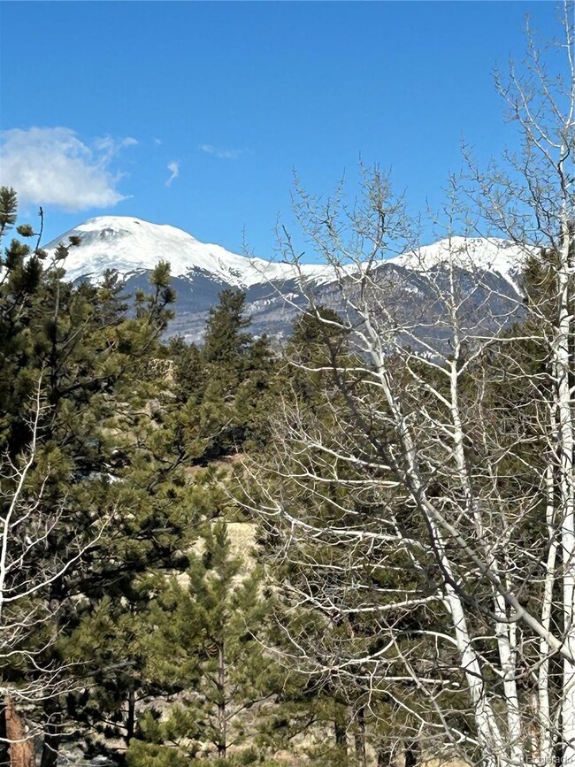 2146 Wagon Wheel Rd unit 353, Hartsel, CO 80449 - photo 5