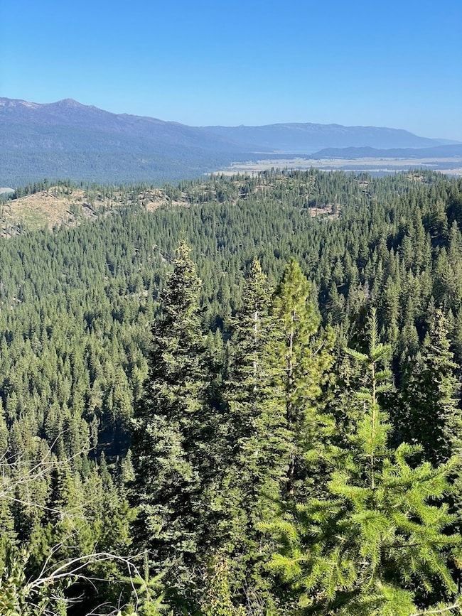 TBD 80 Round Valley Rd, Cascade, ID 83611 - photo 6