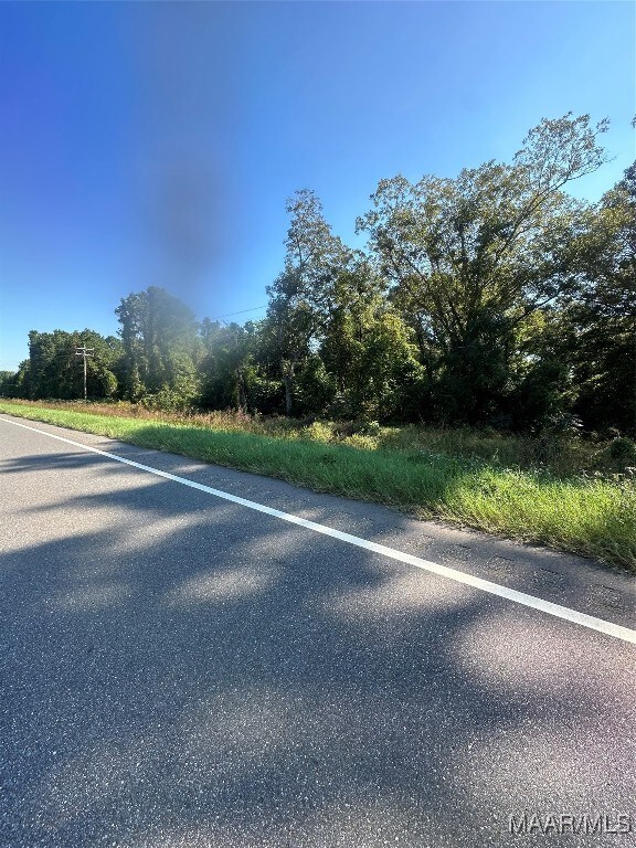 0 Highway 87 unit 552141, Troy, AL 36079 - photo 5