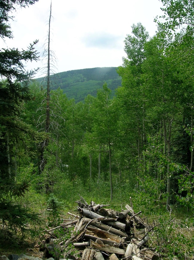 0 S Silver St unit 44030, Rico, CO 81332 - photo 7