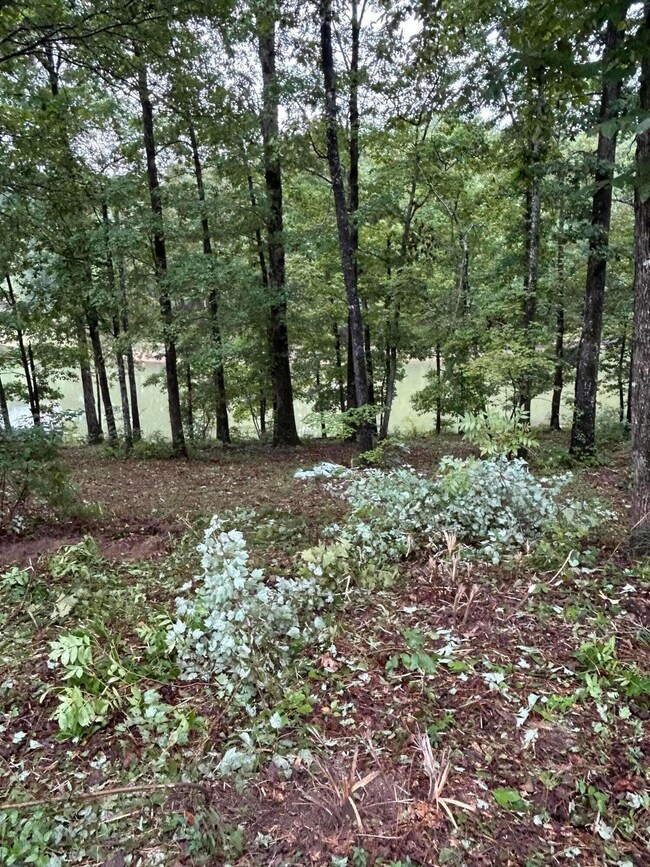 0 Shoreside Dr, Double Springs, AL 35553 - photo 7