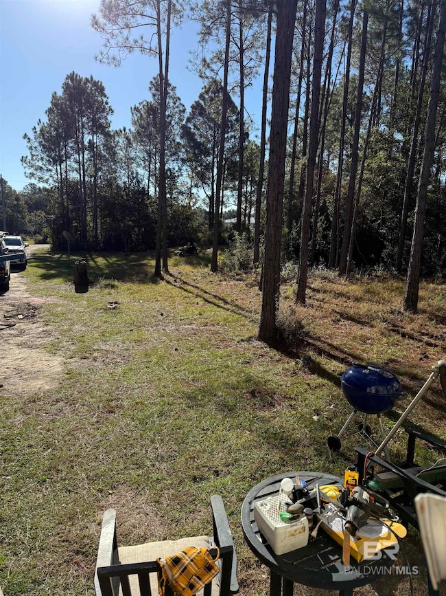 26785 Timber Ln unit 52, Elberta, AL 36530 - photo 4