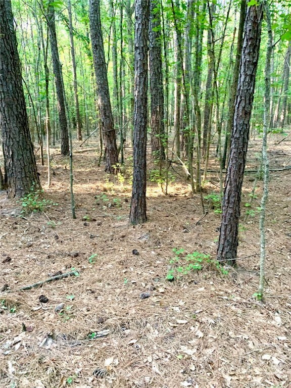 0 Archer Grove School Rd unit Tract B, Athens, GA 30607 - photo 2