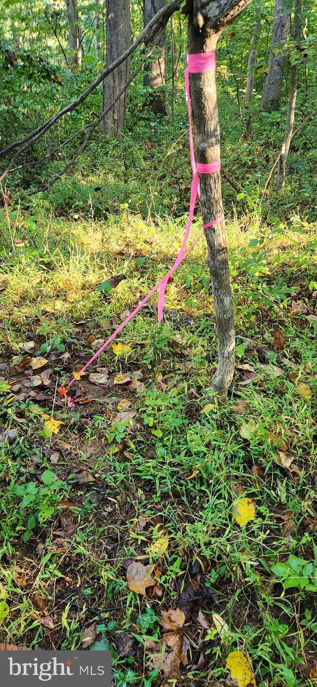 0 Wilson Ln unit VAWR2009114, Front Royal, VA 22630 - photo 7