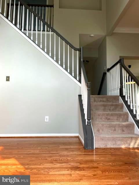 12503 Degas Ct, North Potomac, MD 20878 - photo 5