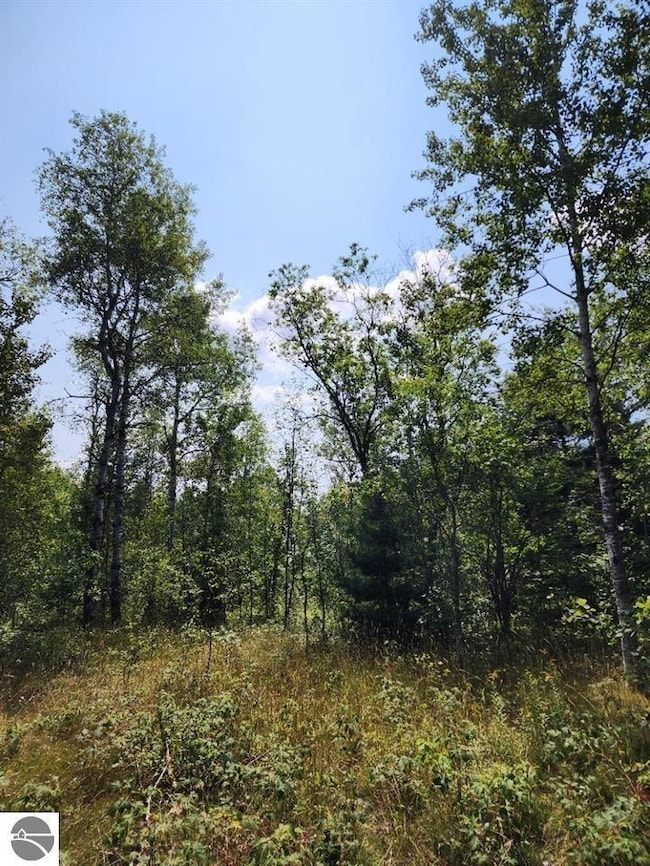 VL Snowridge Trail, Elmira, MI 49730 - photo 3