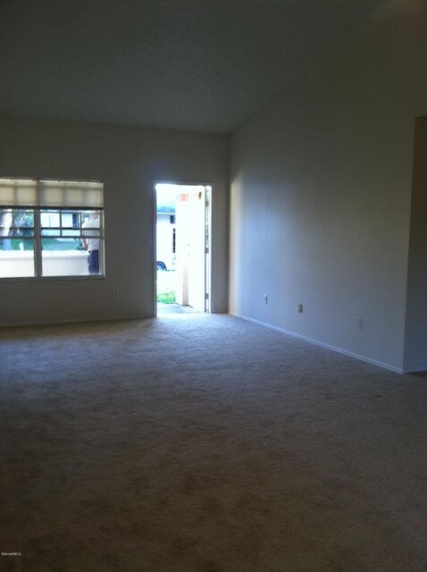 photo 5 (1)
