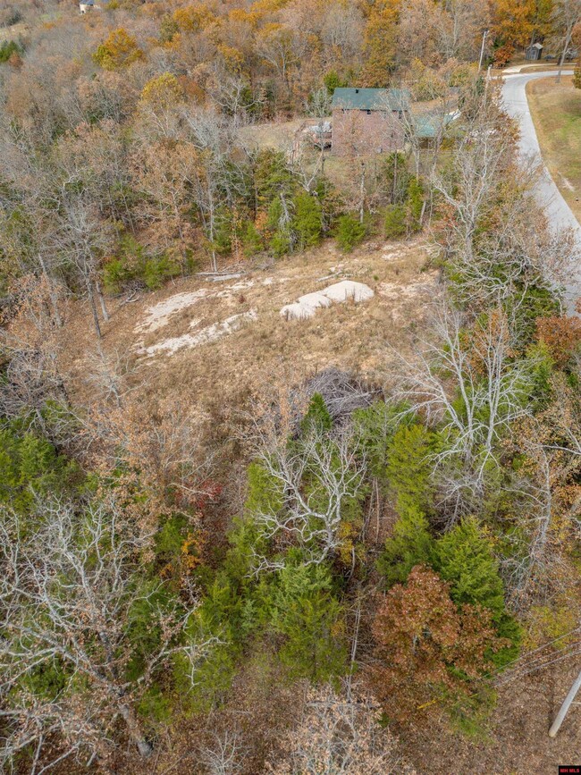 002-10735-000 Wildwood Cir, Mountain Home, AR 72653 - photo 7