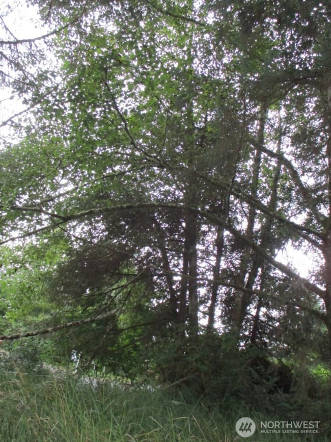 111 Olympic View Ave NE, Ocean Shores, WA 98569 - photo 7