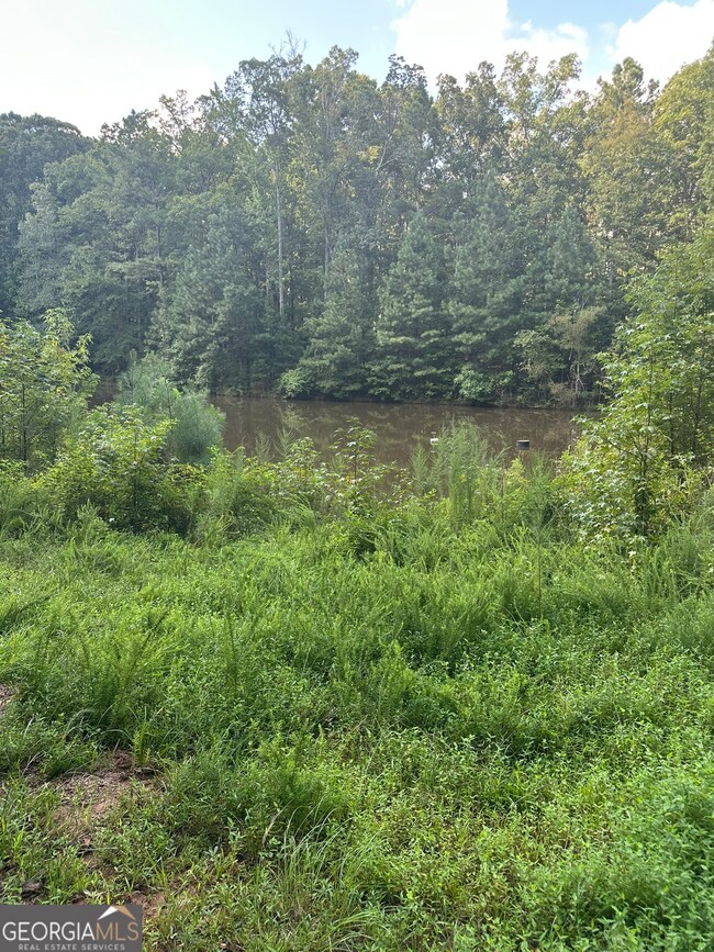 0 Fears Rd unit 10647993, Madison, GA 30650 - photo 3