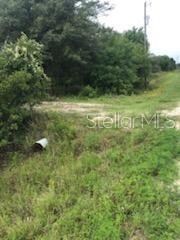 19480 & 19428 NW 304th St, Okeechobee, FL 34972 - photo 5