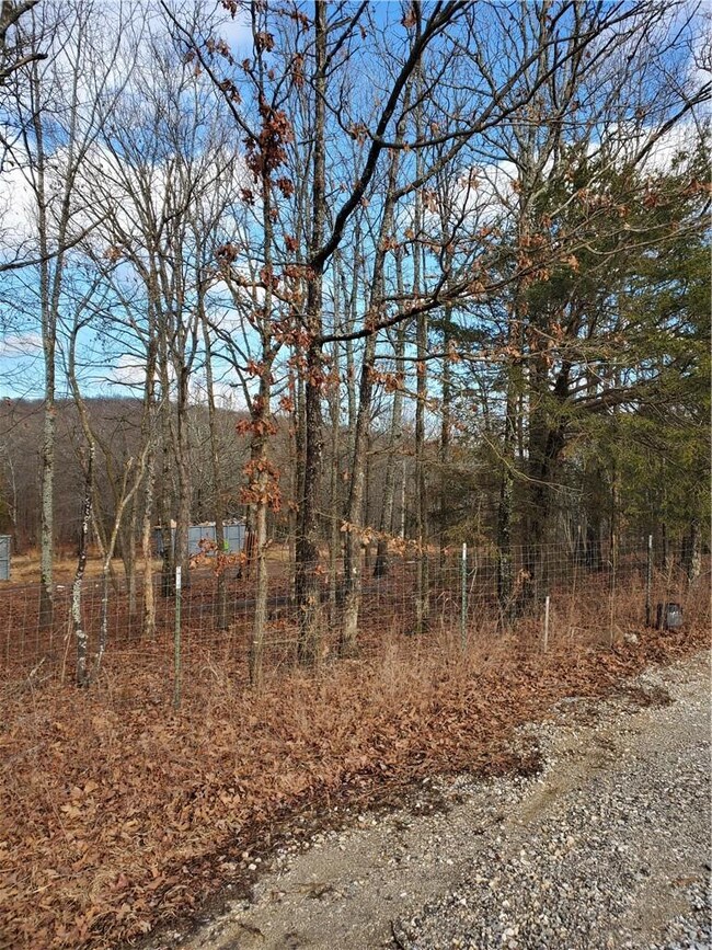 14650 Trace Branch Rd, West Fork, AR 72774 - photo 2