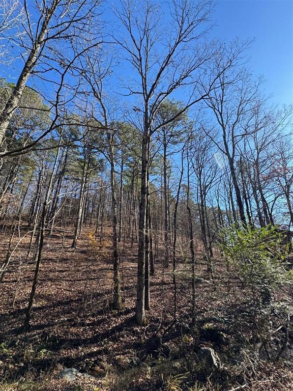 158 Western Maple Trail, Broken Bow, OK 74728 - photo 6