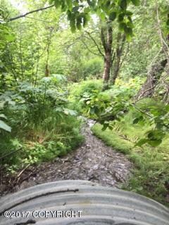 4050 Virgo Ave, Anchorage, AK 99516 - photo 6