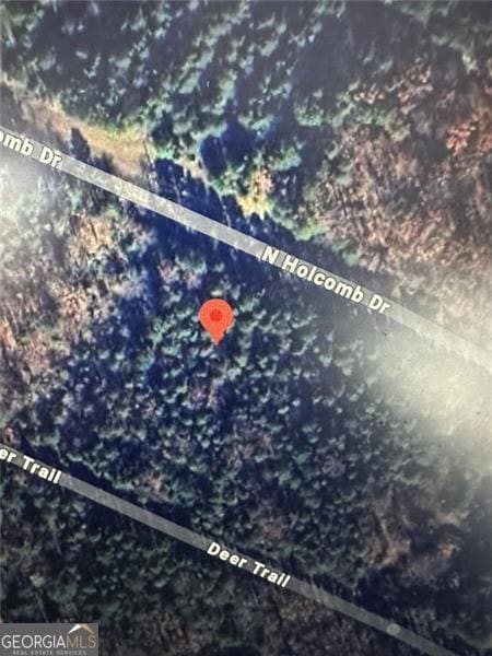 664 N Holcomb Dr, Martin, GA 30557 - photo 3