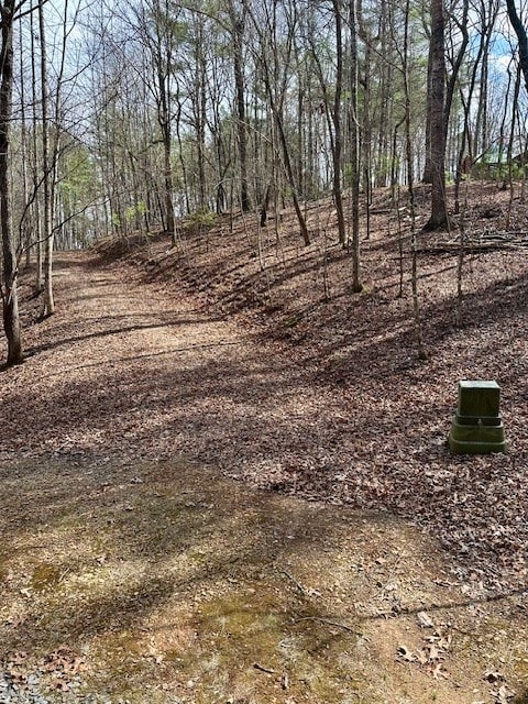 Lot 7 Whitleys Cove, Murphy, MD 20906 - photo 6