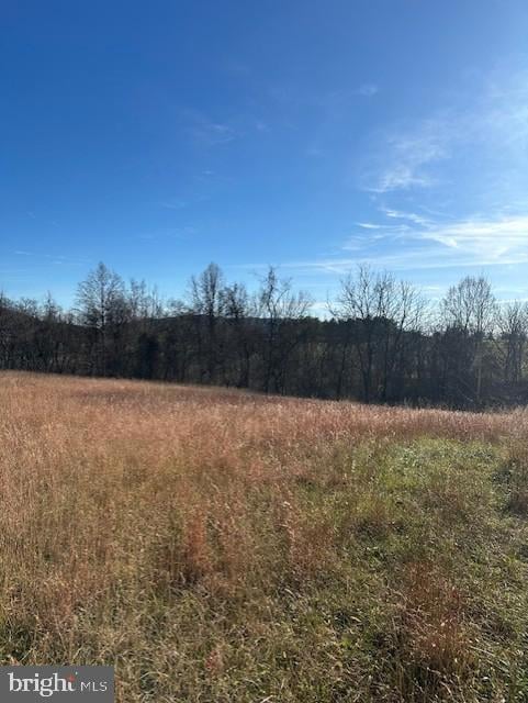 Lot 2 Garretts Mill Rd, Garretts Mill, MD 21758 - photo 5