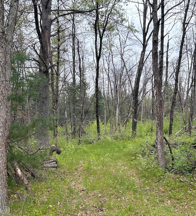 6986 W Baldwin Rd, Baldwin, MI 49304 - photo 5