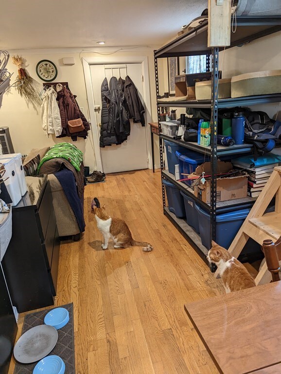 8 Avon St unit 7, Somerville, MA 02143 - photo 4