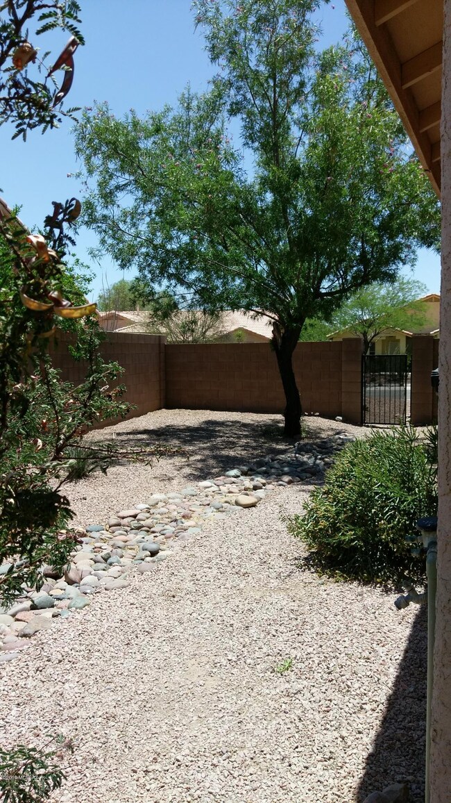 SideYard