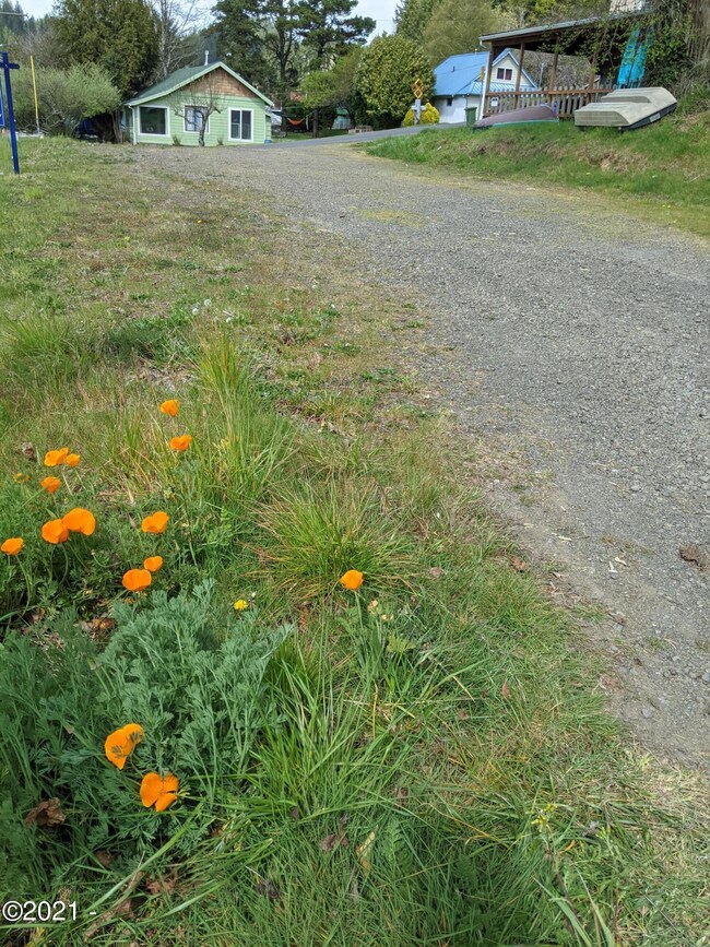 PXL_20210419_214836948
