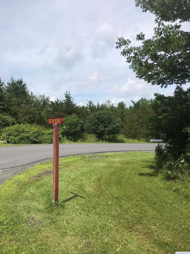 49 - QQ Brom Bones Ln, Sleepy Hollow Lake, NY 12015 - photo 7