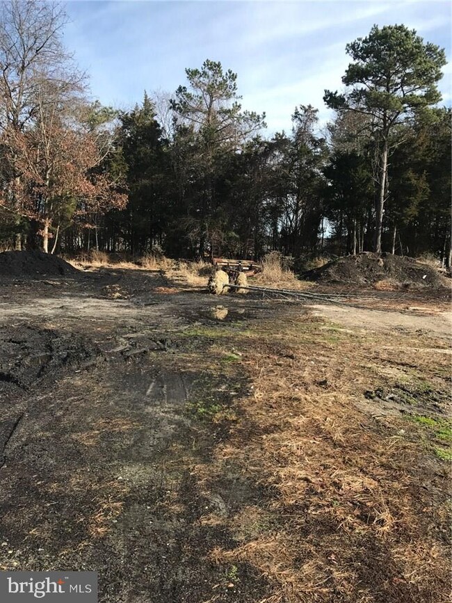 Lot 4.04 Nugentown Rd, Tuckerton, NJ 08087 - photo 5