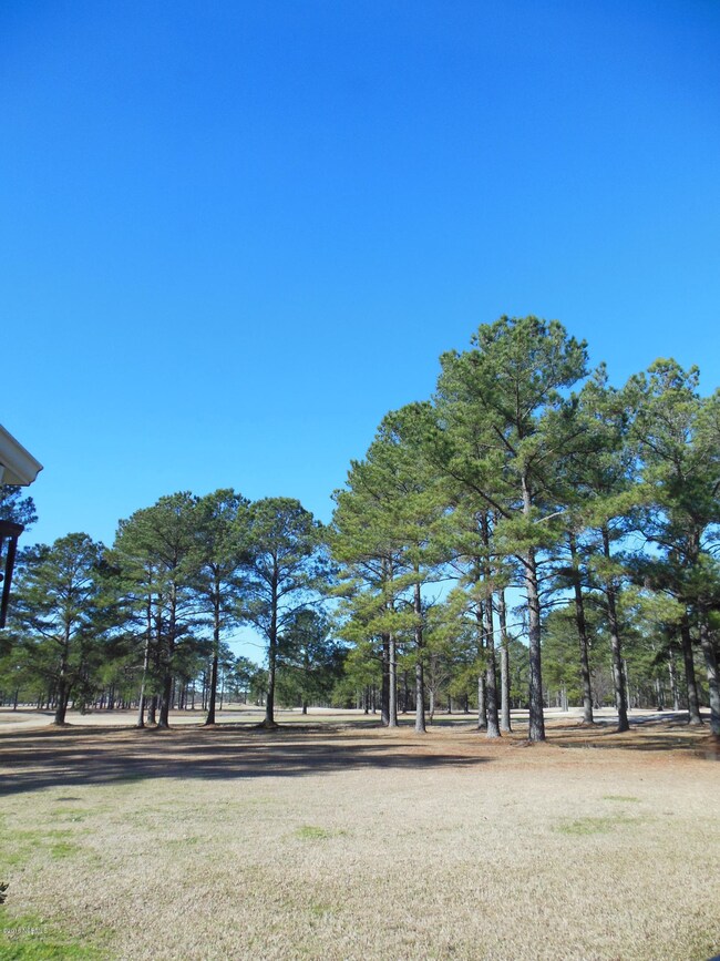 5 Backyard view