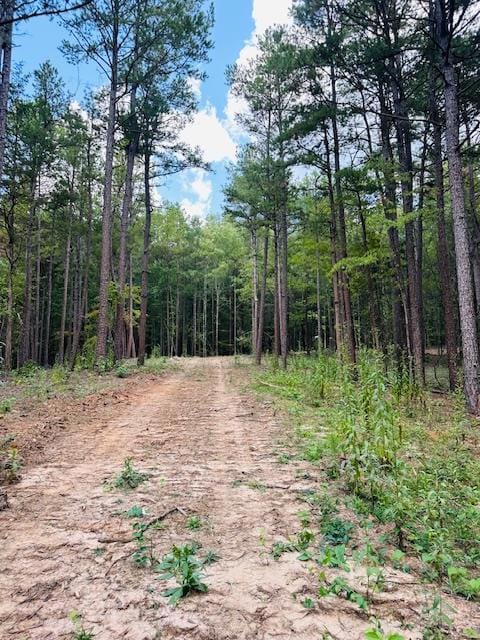 TBD Cr 255 (Lafayette County), Thaxton, MS 38871 - photo 4