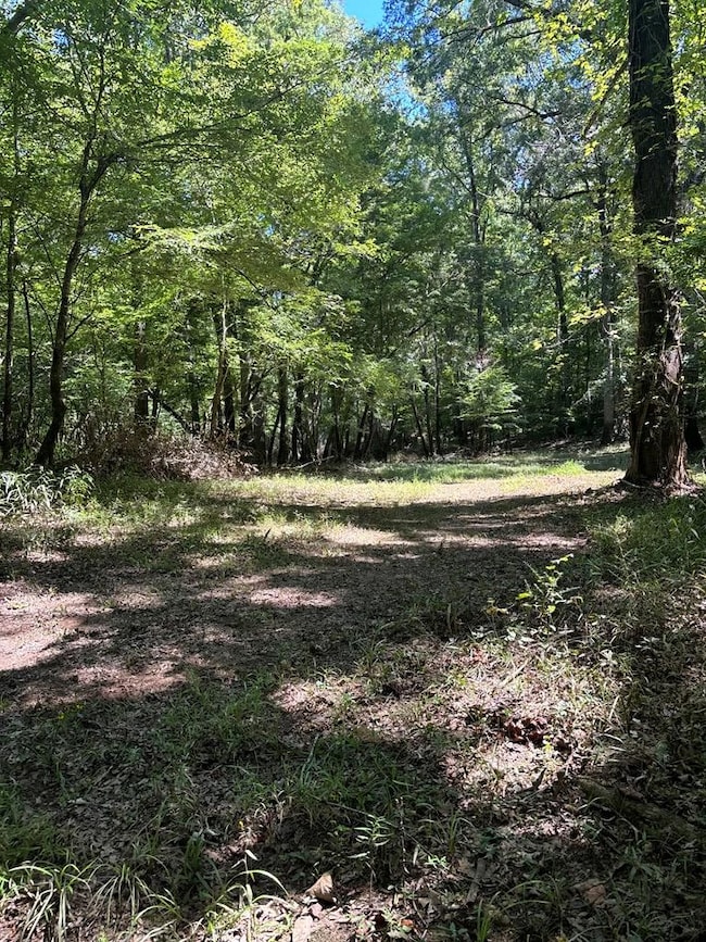 219 Chestnut Dr, Eastman, GA 31023 - photo 2