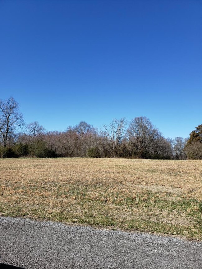 15145 Dodson Branch Hwy, Algood, TN 38501 - photo 5