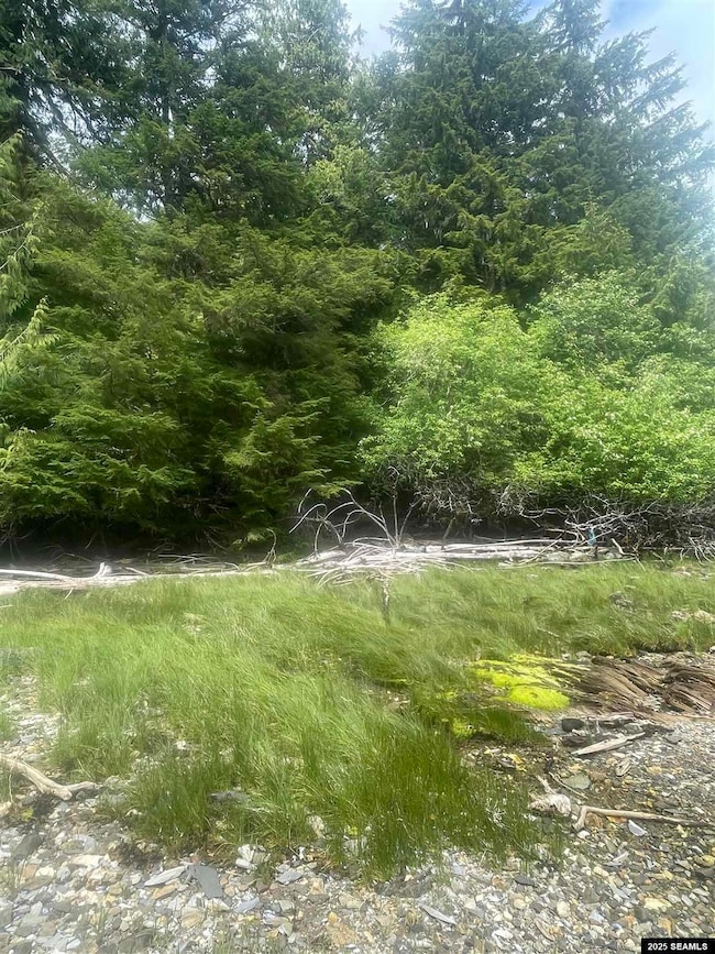 NHN Legal Address Only unit Lot 2 Block 1, Ketchikan, AK 99901 - photo 3