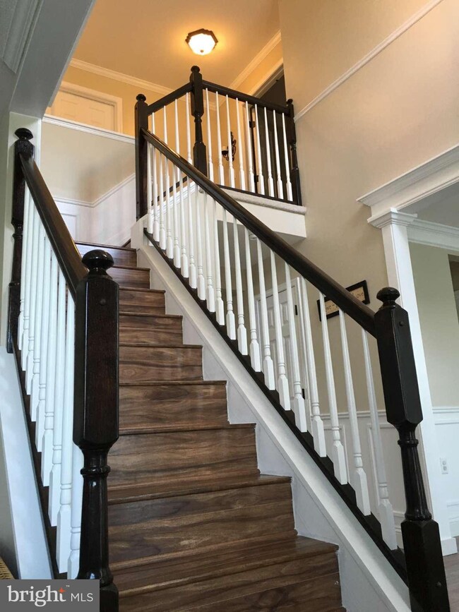 2976 Lodi Dr, Manchester, MD 21102 - photo 2