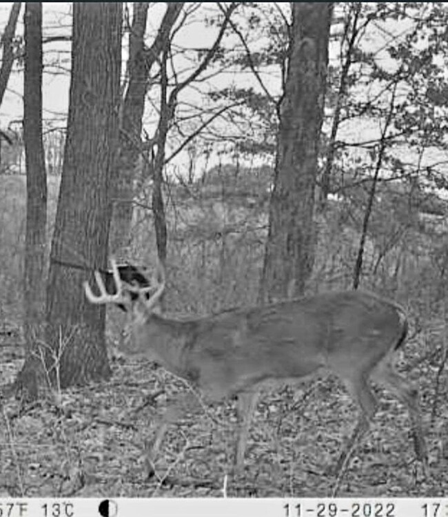 IMG_20241229_000209