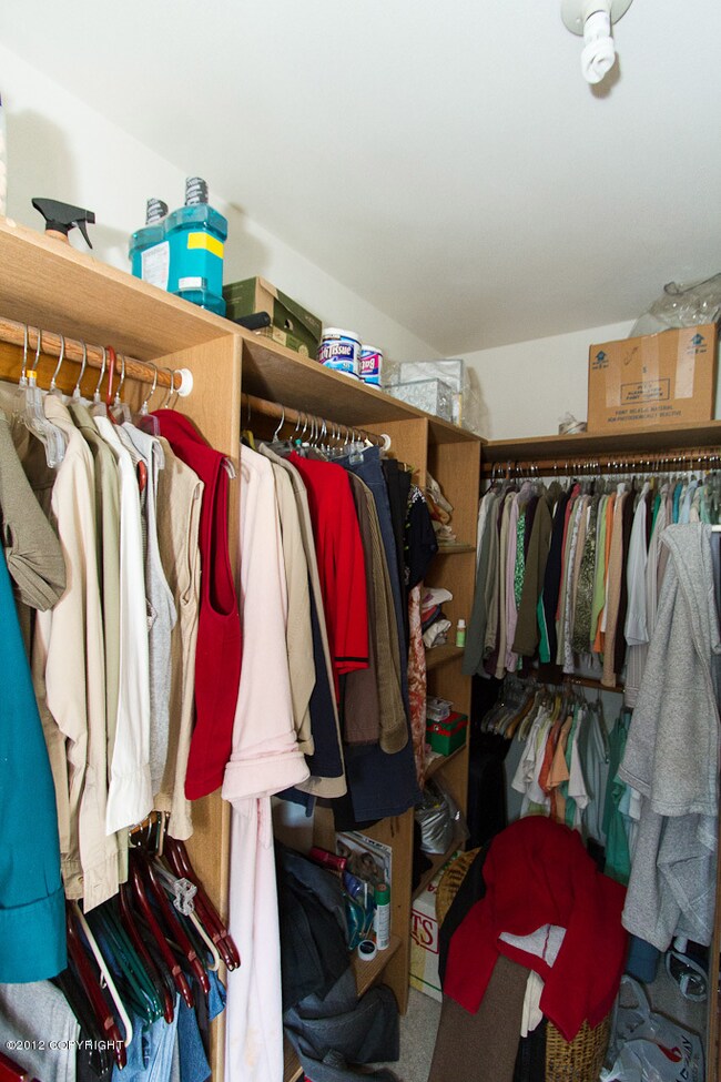 Master Bedroom Walk in Closet